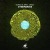 Chart track