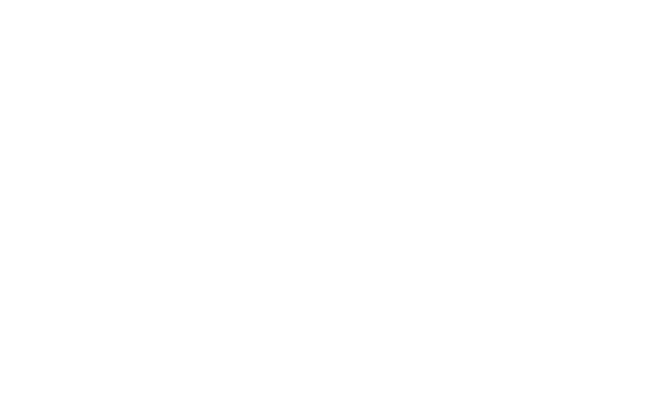 Pro Radio Demo 43
